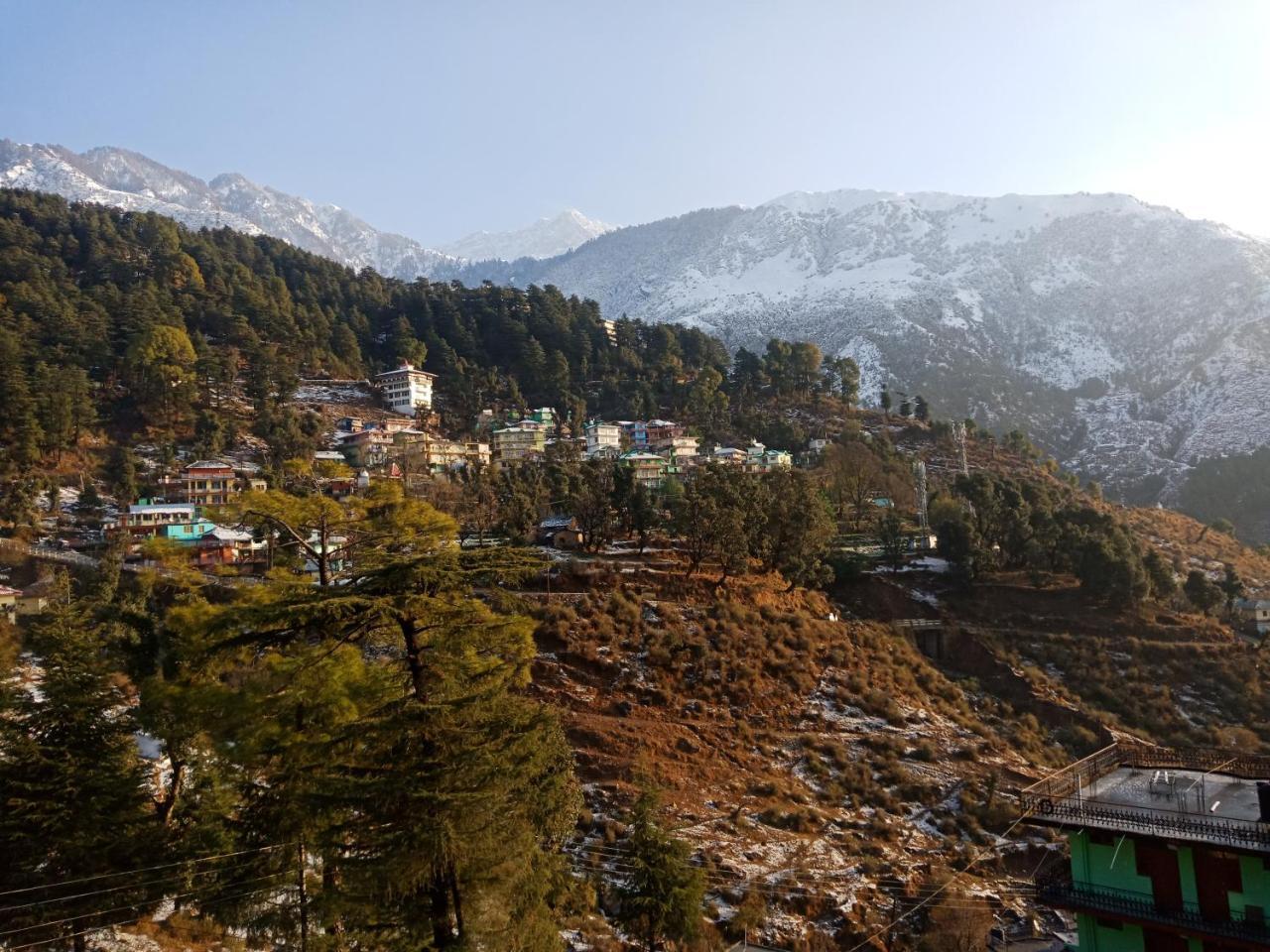 Hotel Pine Spring Dharamshala Luaran gambar