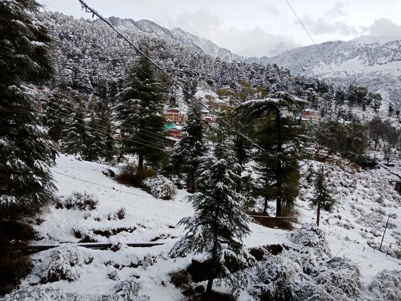 Hotel Pine Spring Dharamshala Luaran gambar