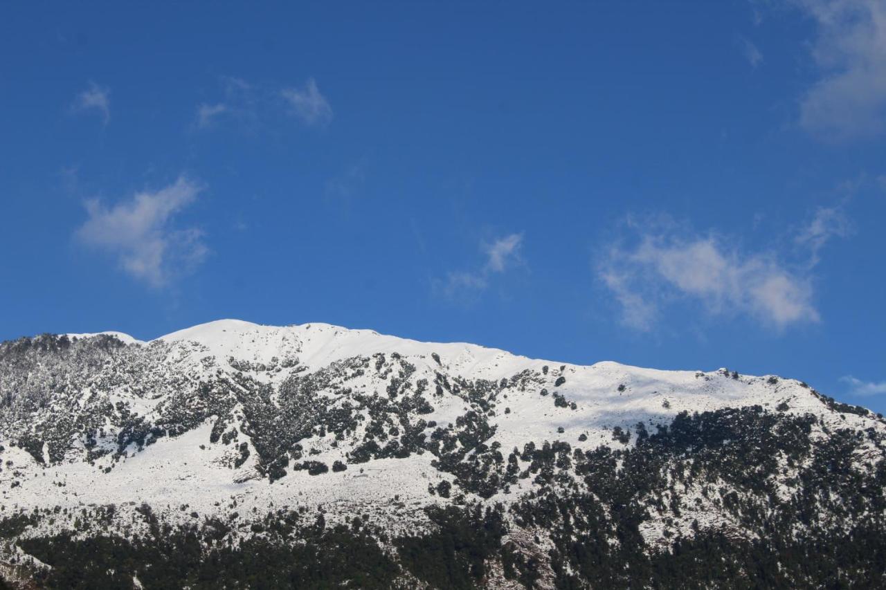 Hotel Pine Spring Dharamshala Luaran gambar