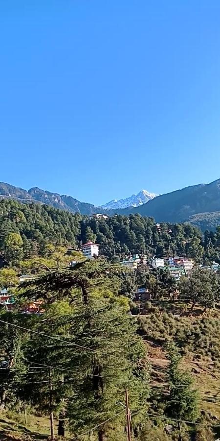 Hotel Pine Spring Dharamshala Luaran gambar